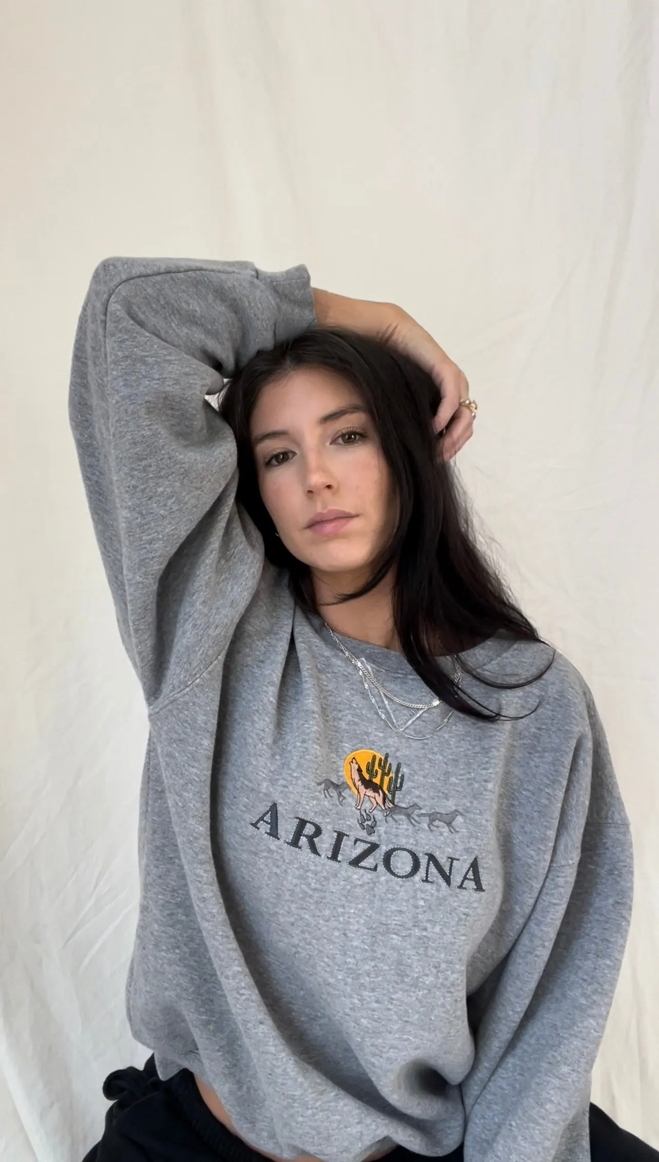 Howling Desert Sweater