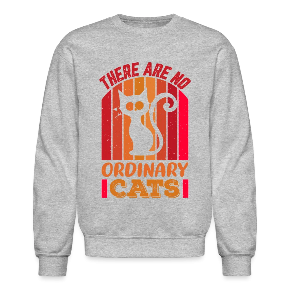 There Are No Ordinary Cats Sweatshirt