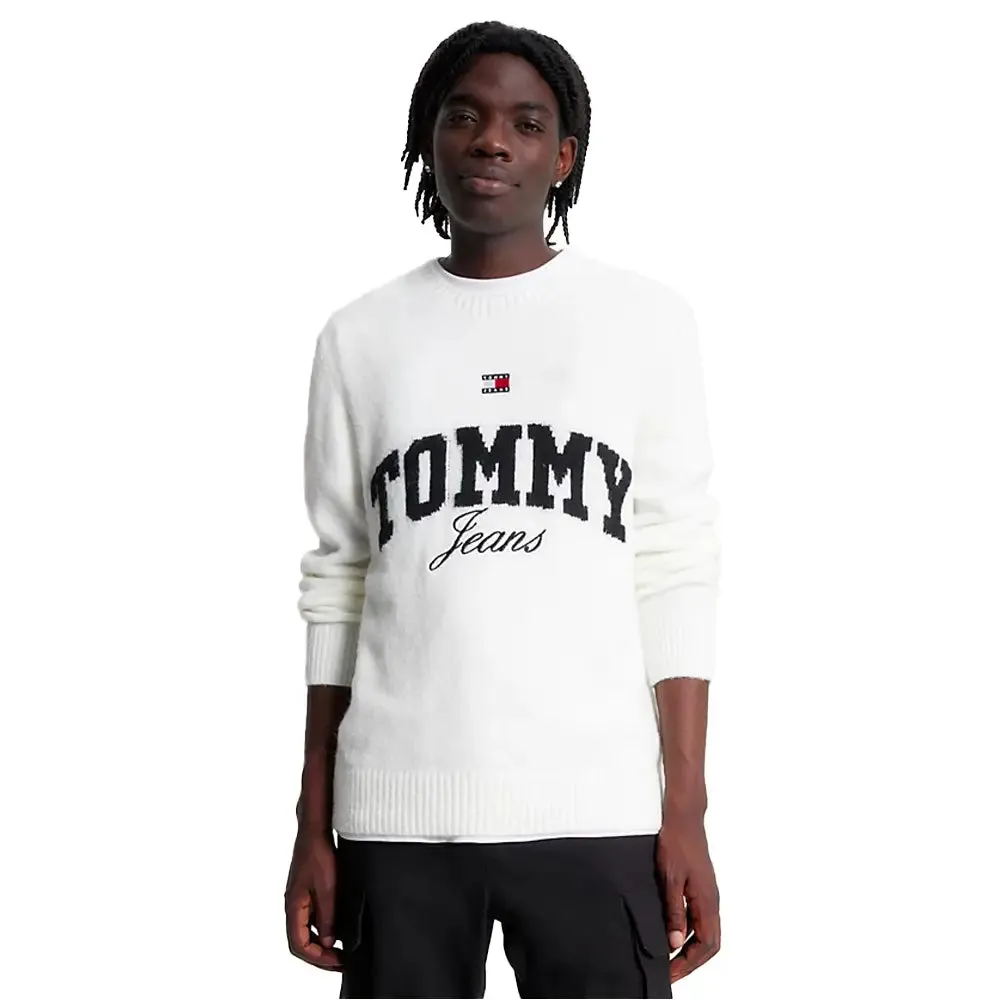 Varsity Logo Relaxed Fit Pullover